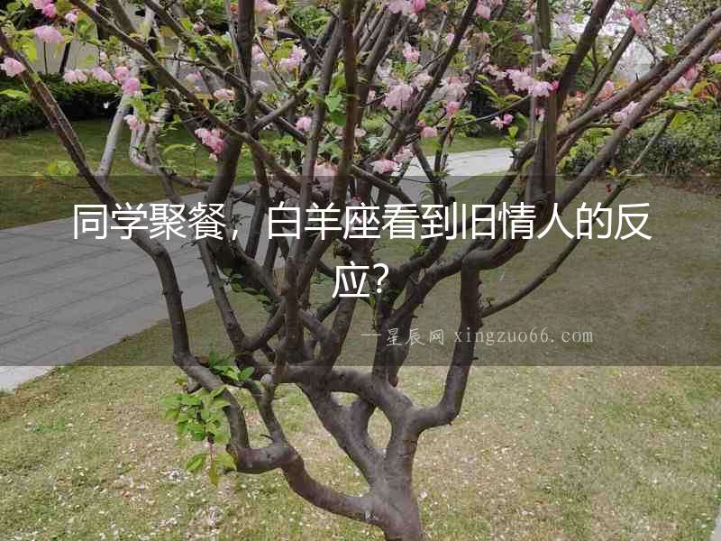 同學(xué)聚餐，白羊座看到舊情人的反應(yīng)？