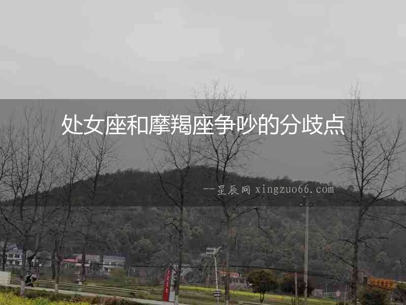 處女座和摩羯座爭吵的分歧點(diǎn)