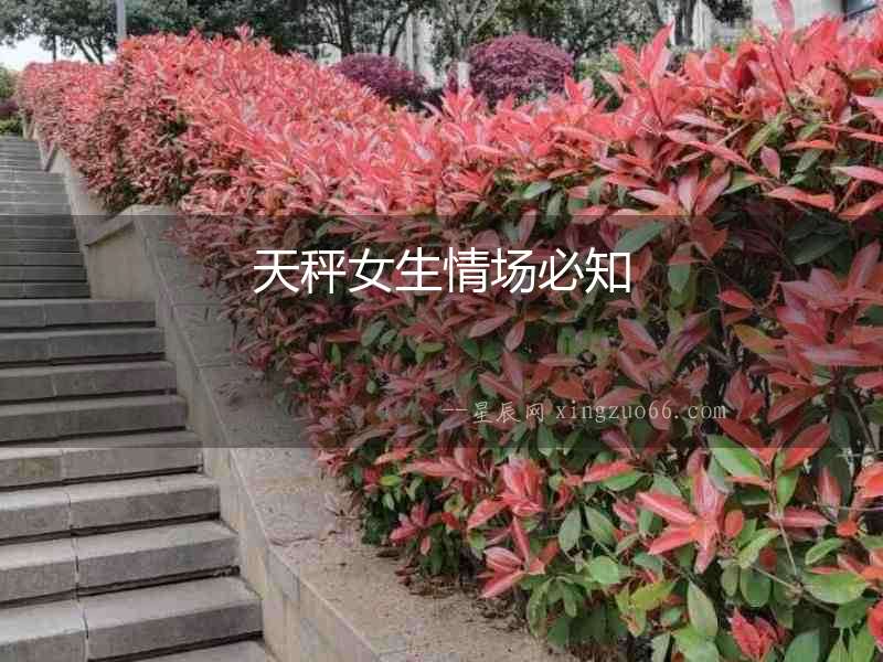 天秤女生情場必知