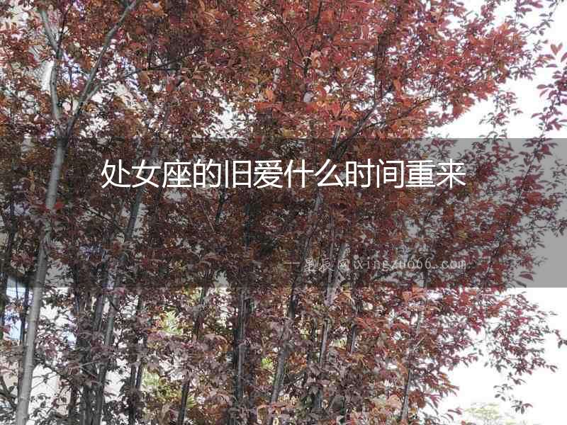 處女座的舊愛什么時間重來