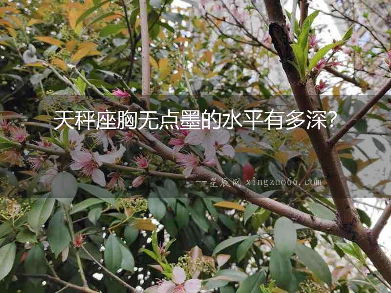 天秤座胸無點墨的水平有多深？