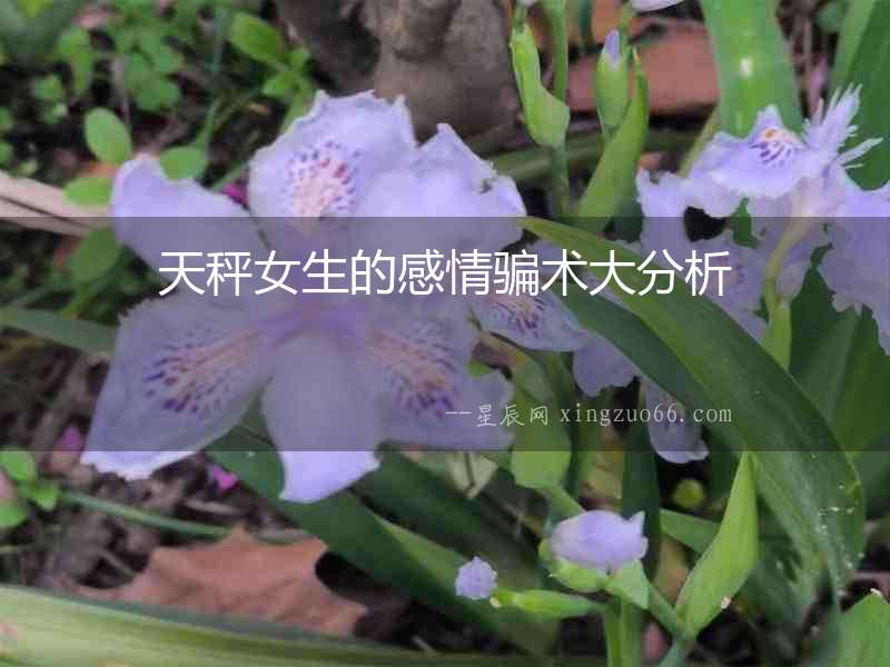 天秤女生的感情騙術(shù)大分析