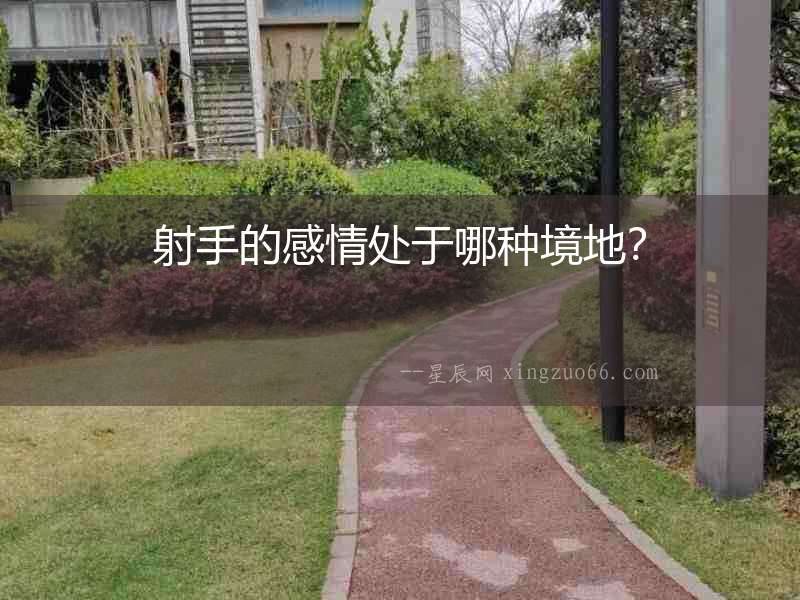 射手的感情處于哪種境地？