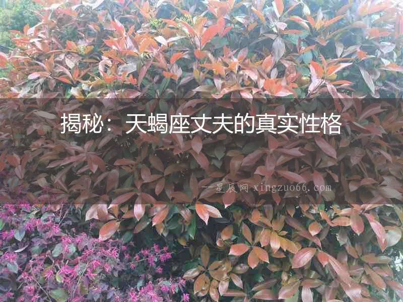 揭秘：天蝎座丈夫的真實(shí)性格