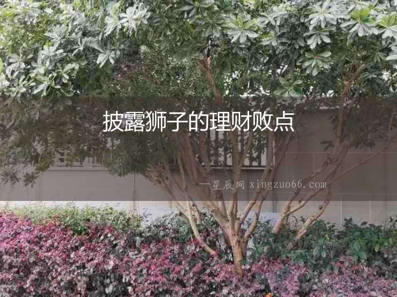 披露獅子的理財(cái)敗點(diǎn)