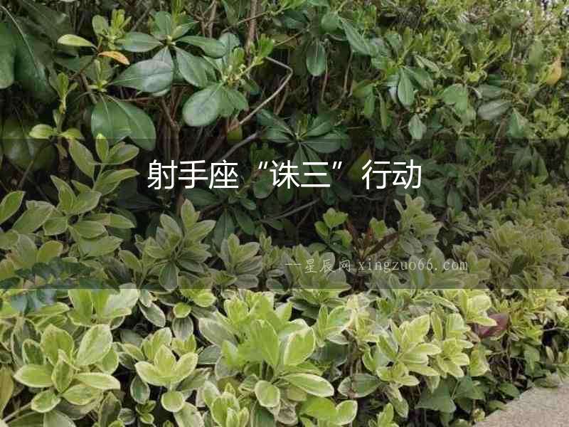 射手座“誅三”行動