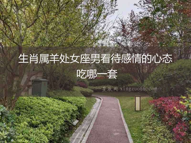 生肖屬羊處女座男看待感情的心態(tài) 吃哪一套