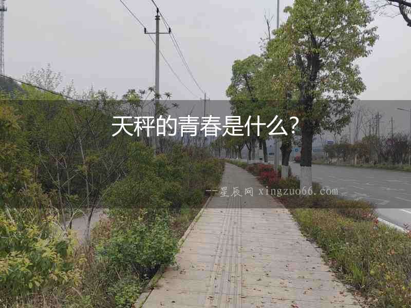 天秤的青春是什么？