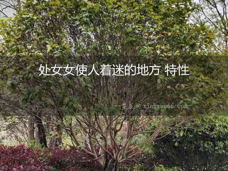 處女女使人著迷的地方 特性