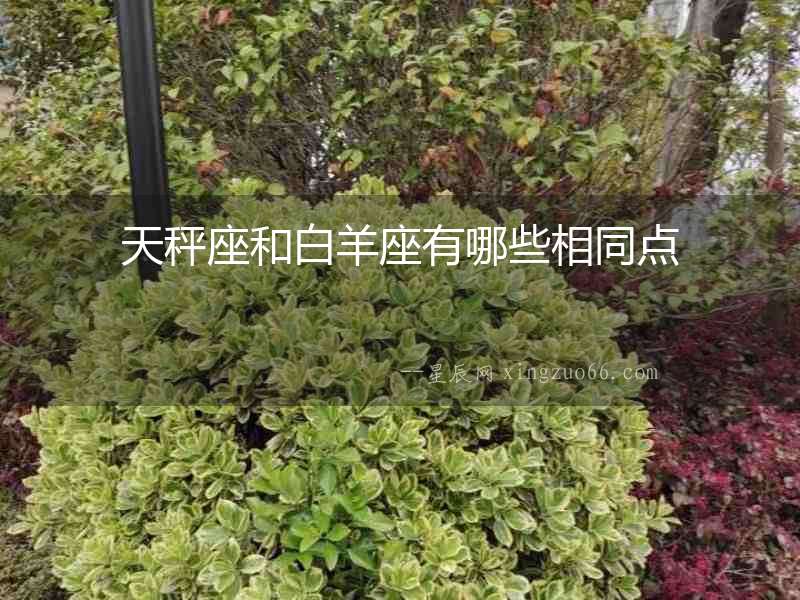 天秤座和白羊座有哪些相同點