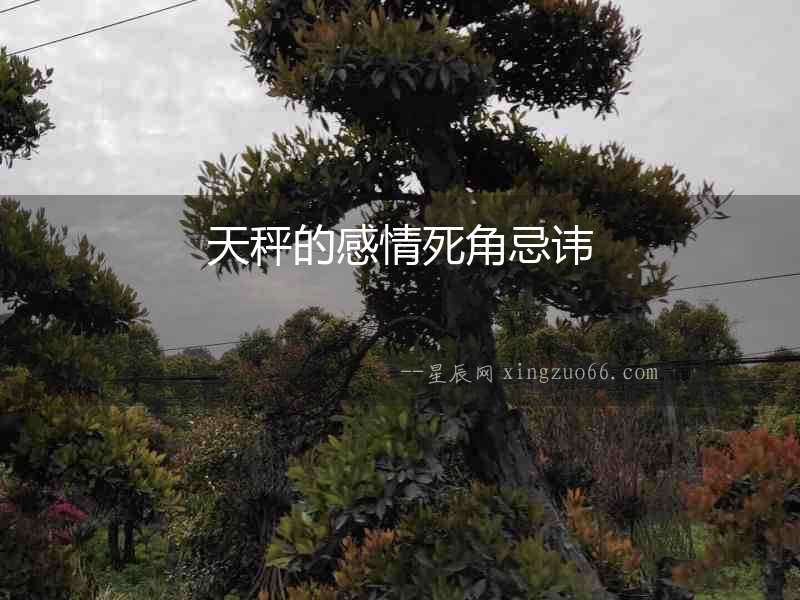 天秤的感情死角忌諱