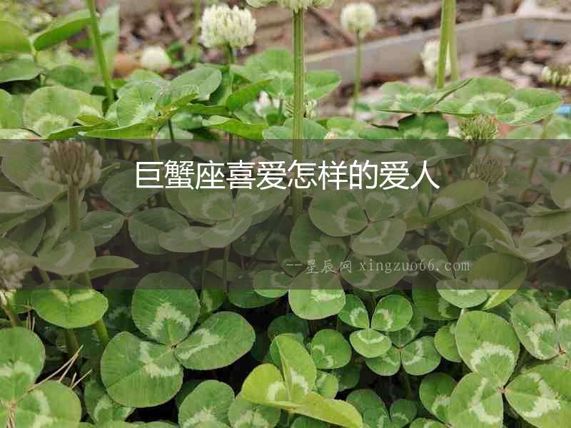 巨蟹座喜愛(ài)怎樣的愛(ài)人