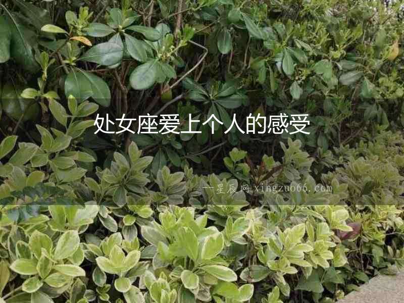 處女座愛(ài)上個(gè)人的感受