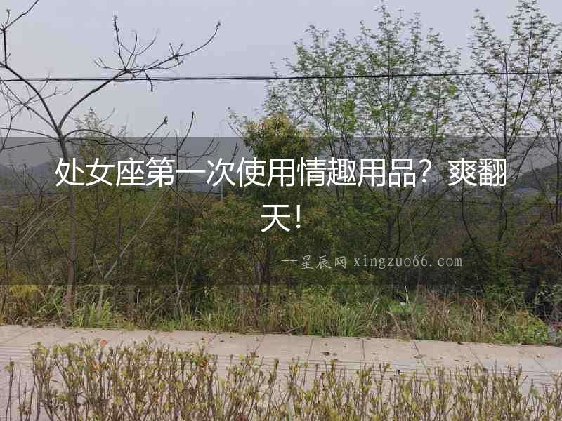處女座第一次使用情趣用品？爽翻天！