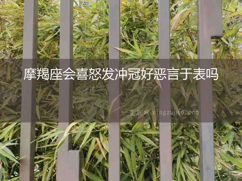 摩羯座會(huì)喜怒發(fā)沖冠好惡言于表嗎