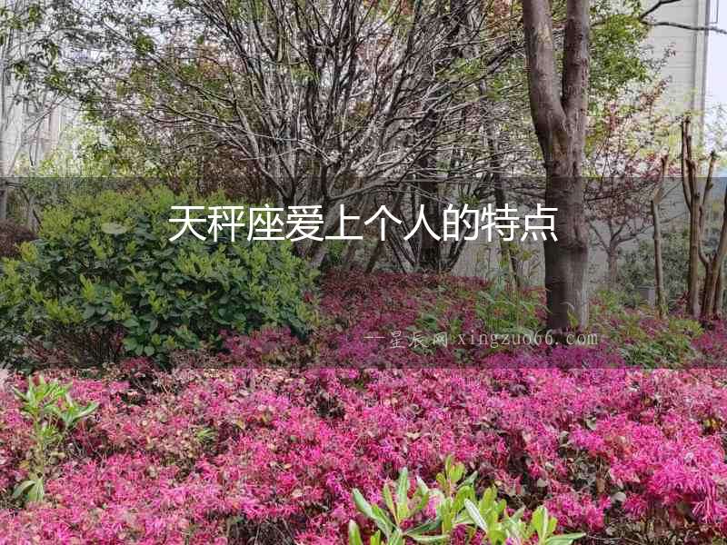 天秤座愛上個(gè)人的特點(diǎn)