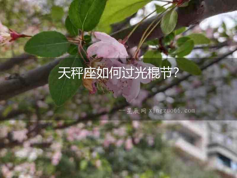 天秤座如何過光棍節？