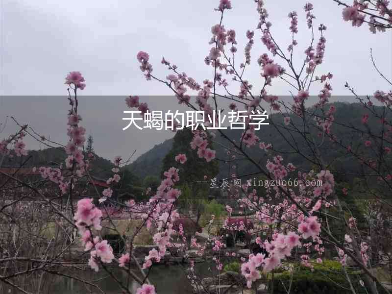 天蝎的職業(yè)哲學(xué)