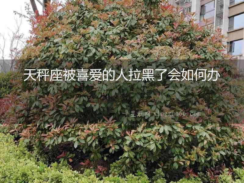 天秤座被喜愛的人拉黑了會(huì)如何辦