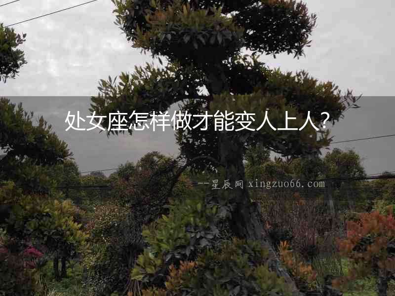 處女座怎樣做才能變人上人？