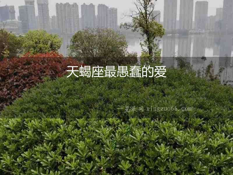 天蝎座最愚蠢的愛