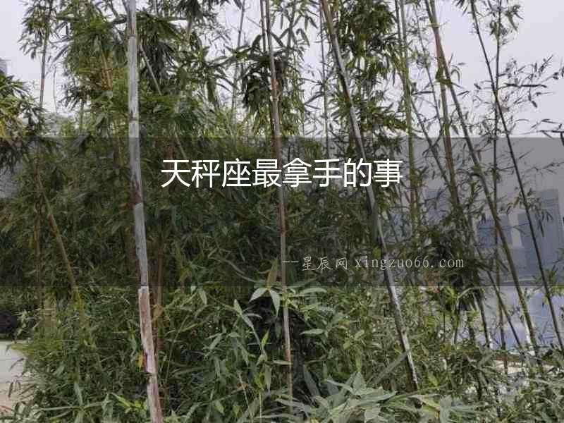 天秤座最拿手的事