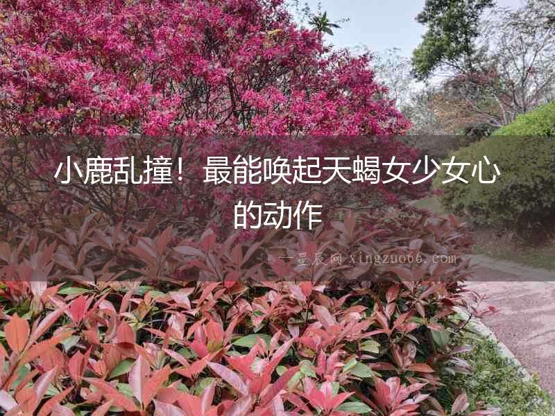 小鹿亂撞！最能喚起天蝎女少女心的動作