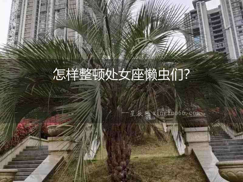 怎樣整頓處女座懶蟲們？
