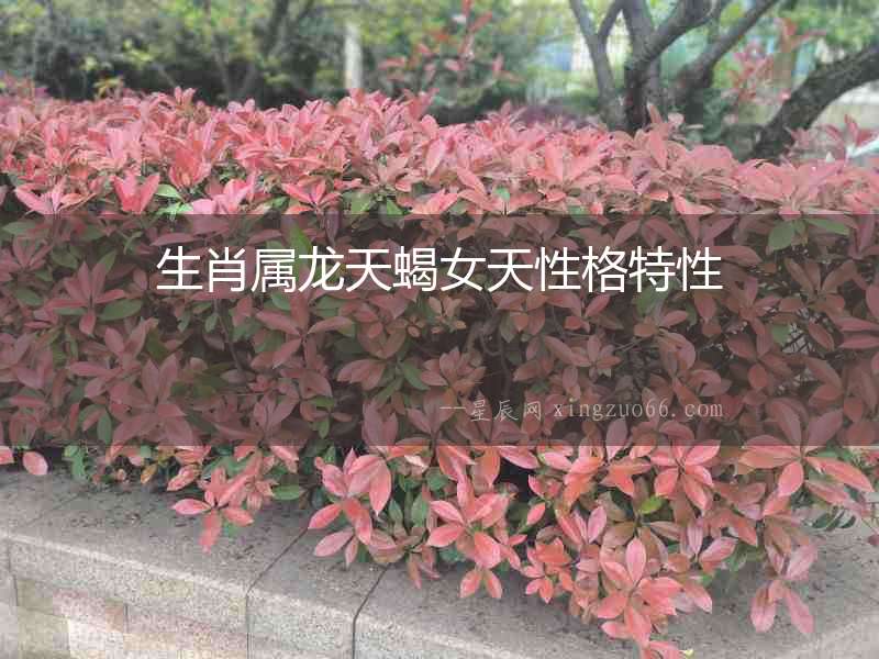 生肖屬龍?zhí)煨煨愿裉匦? alt=