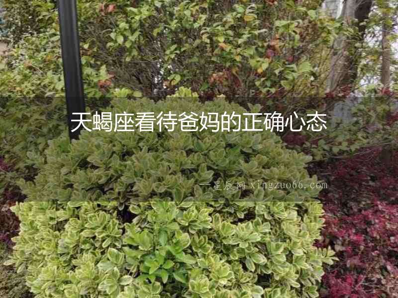天蝎座看待爸媽的正確心態(tài)