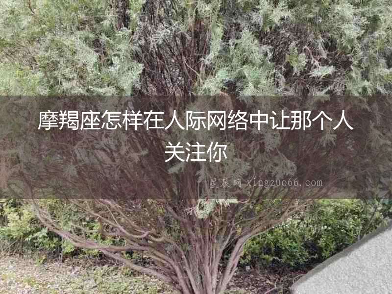 摩羯座怎樣在人際網絡中讓那個人關注你