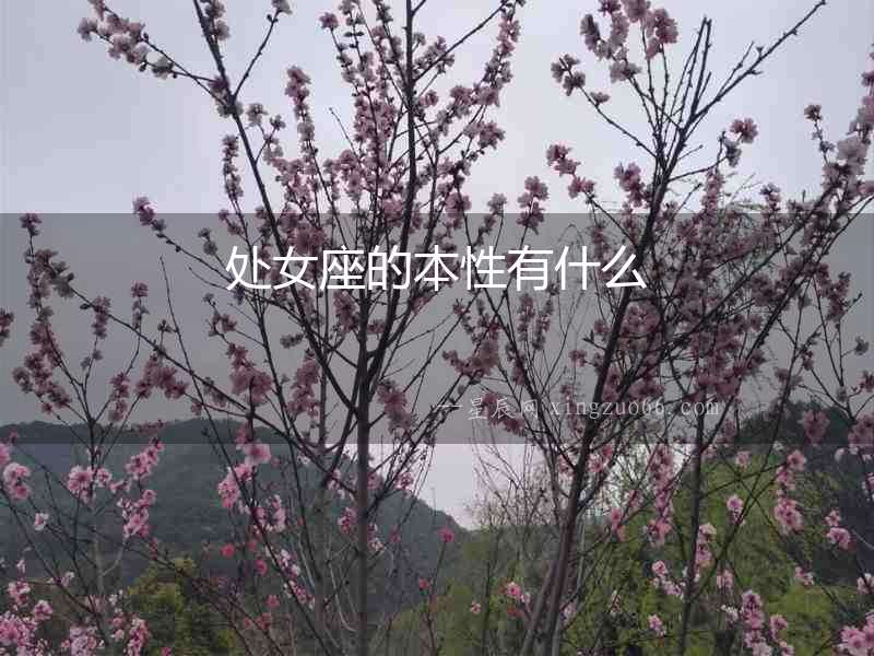 處女座的本性有什么