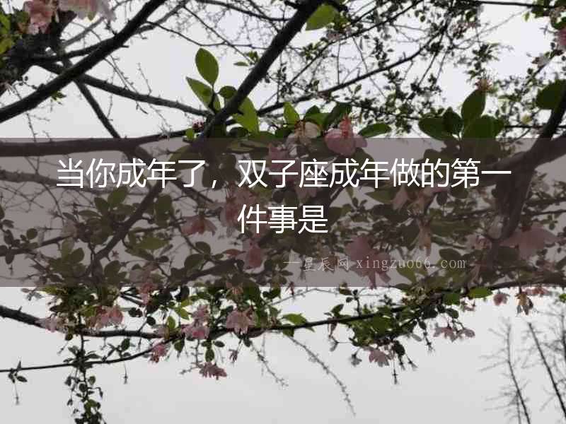 當你成年了，雙子座成年做的第一件事是