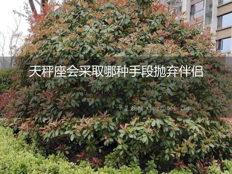 天秤座會采取哪種手段拋棄伴侶