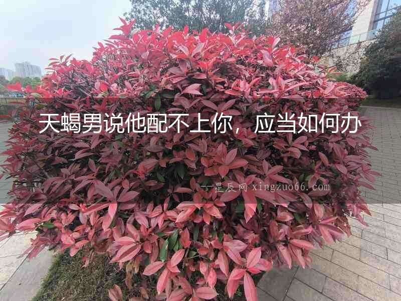 天蝎男說他配不上你，應當如何辦