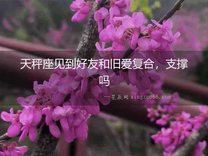 天秤座見到好友和舊愛復合，支撐嗎