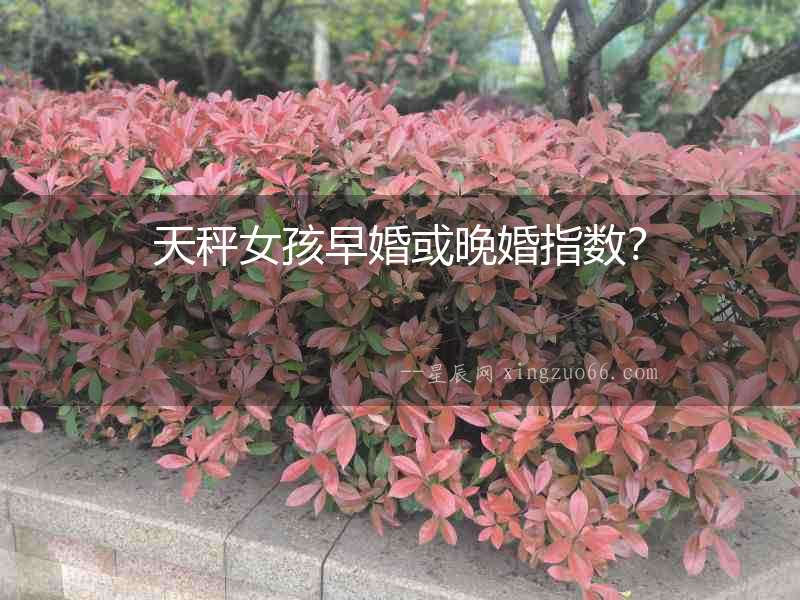 天秤女孩早婚或晚婚指數？