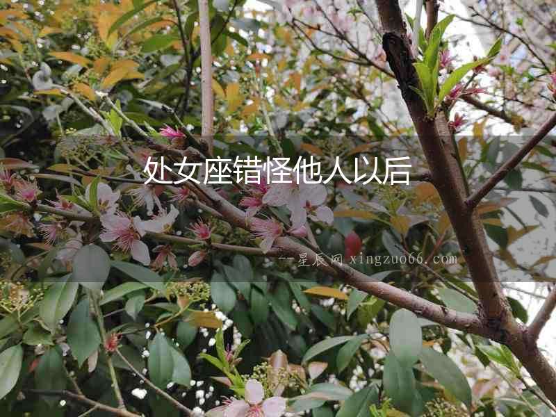 處女座錯怪他人以后