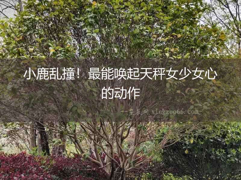 小鹿亂撞！最能喚起天秤女少女心的動作