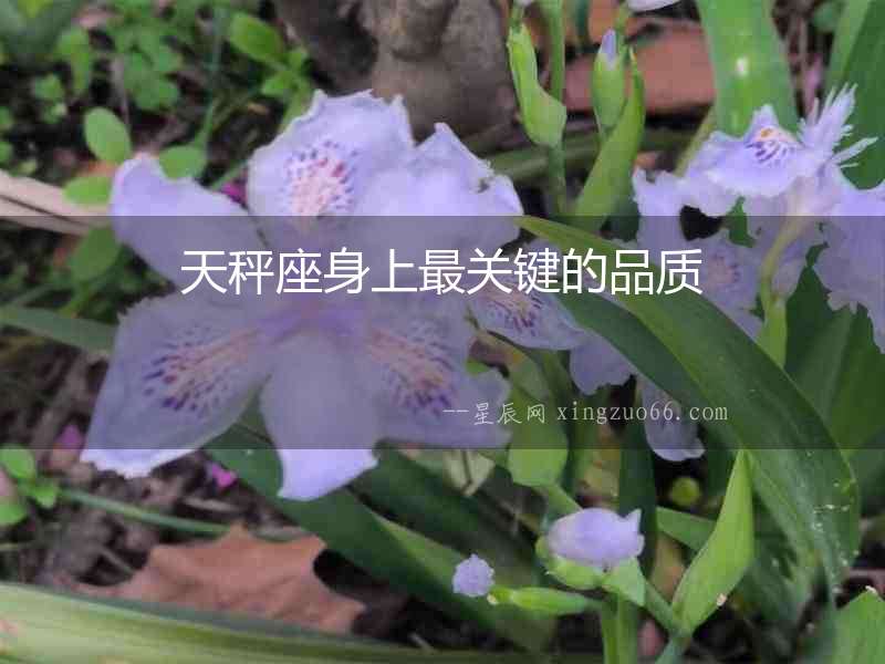天秤座身上最關(guān)鍵的品質(zhì)