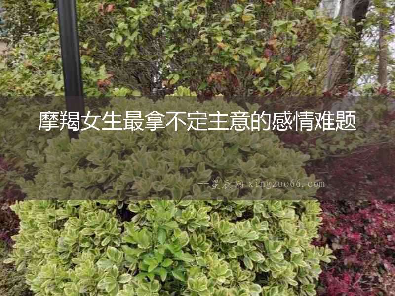 摩羯女生最拿不定主意的感情難題