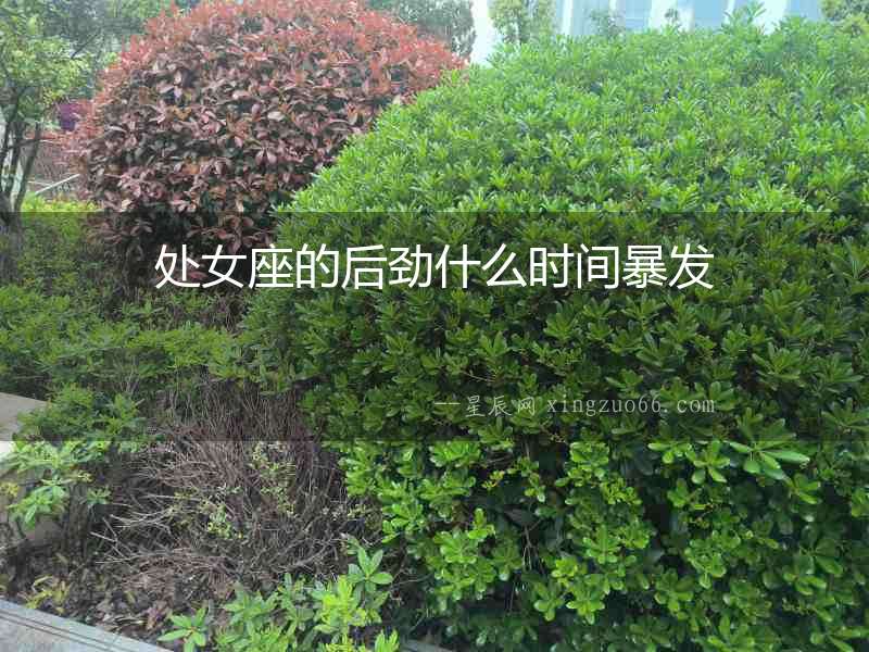 處女座的后勁什么時間暴發