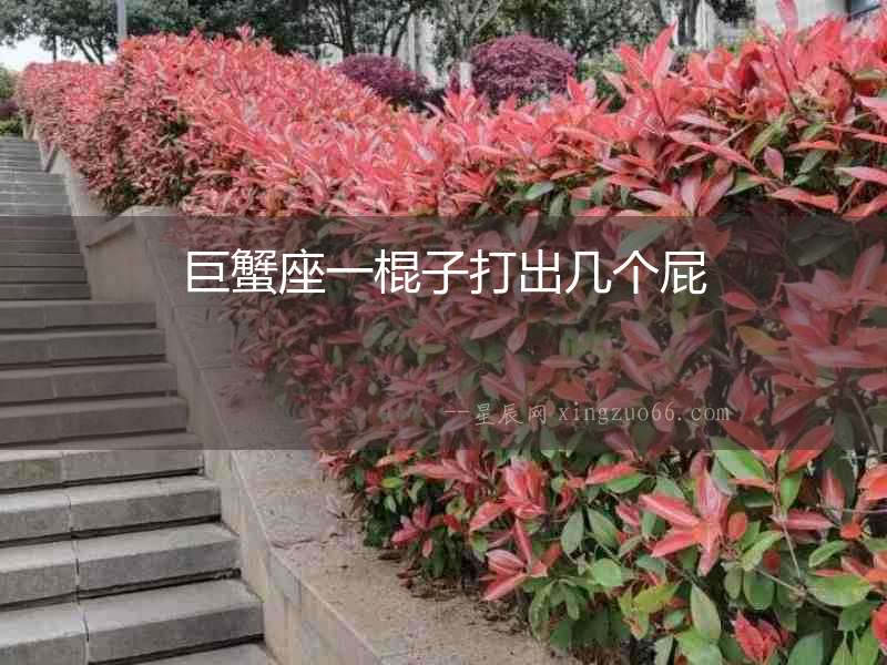 巨蟹座一棍子打出幾個(gè)屁