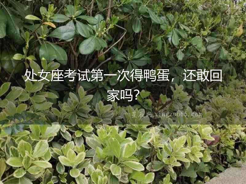 處女座考試第一次得鴨蛋，還敢回家嗎？
