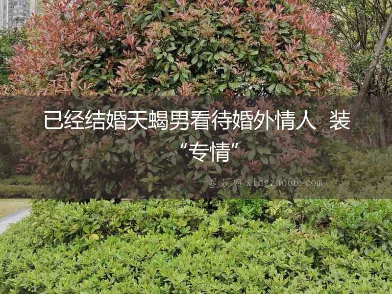 已經(jīng)結(jié)婚天蝎男看待婚外情人  裝“專情”