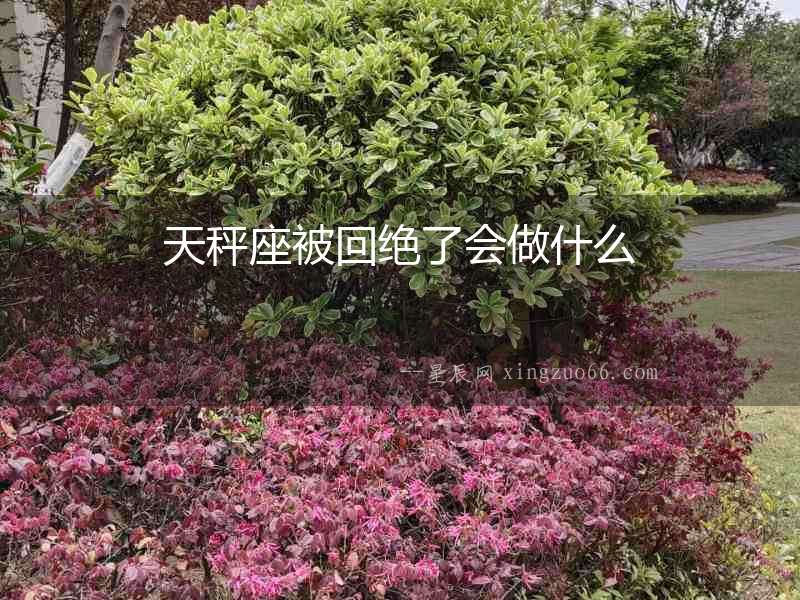 天秤座被回絕了會做什么