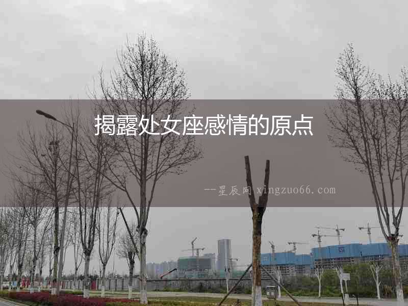 揭露處女座感情的原點