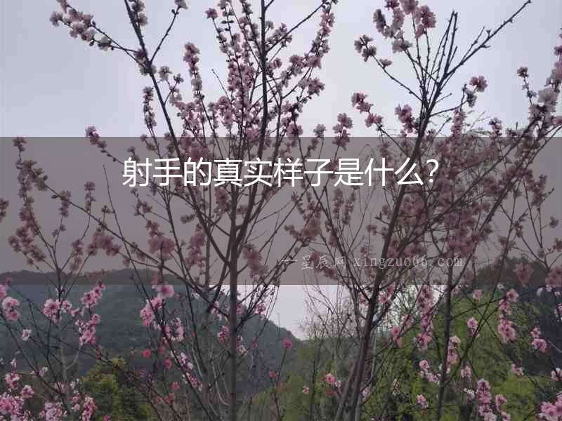 射手的真實(shí)樣子是什么？