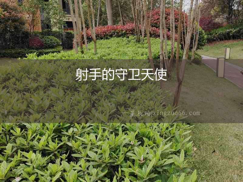 射手的守衛(wèi)天使