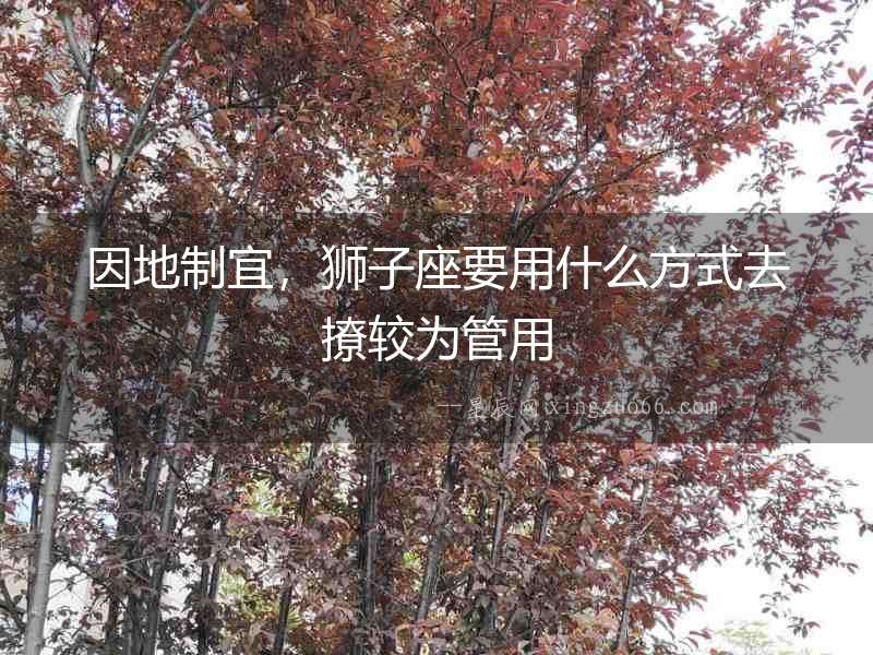 因地制宜，獅子座要用什么方式去撩較為管用